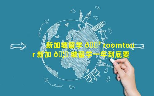 新加坡留学 🐳 roomtour 新加 🦁 坡留学一年到底要花多少钱